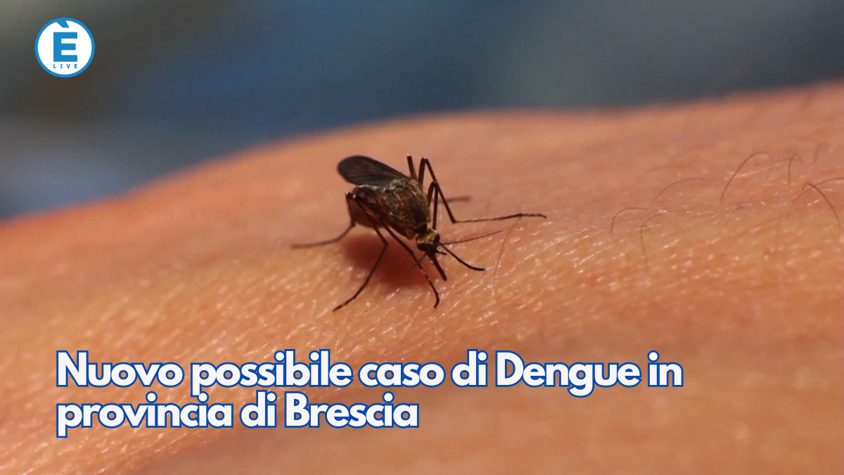 Nuovo Possibile Caso Di Dengue In Provincia Di Brescia - ÈliveBrescia TV