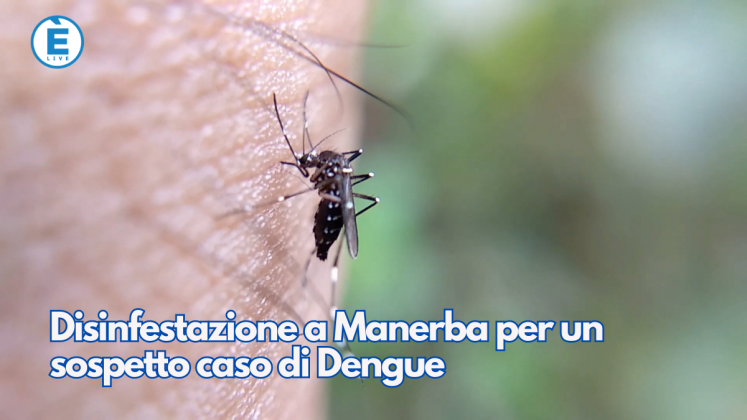 Disinfestazione A Manerba Per Un Sospetto Caso Di Dengue - ÈliveBrescia TV